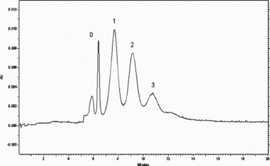 Figure 1 The electropherogram of SC-PEG-bHb (the molar ratio of hemoglobin to SC-PEG was 1 : 8) by capillary zone electrophoresis.