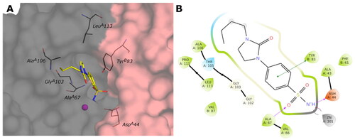 Figure 8. (A) Predicted 3D binding mode and (B) corresponding ligand interaction diagram of the most selective ligand 9c (yellow) within VchβCA (grey and pink). The compound is represented as a stick and the protein surface is visualised.