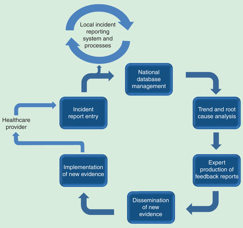 Figure 1. A conceptual view of national and local incident reporting and learning systems as information loops. Each input, process and output component represents an opportunity cost to society.