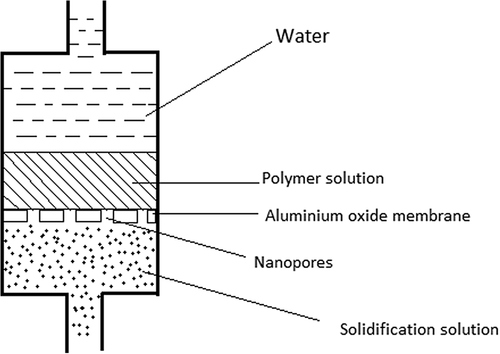 Figure 2. Nanofibers produced by template synthesis.