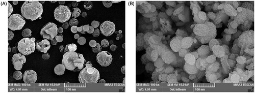 Figure 2. SEM images of the prepared nanoparticles: (A) blank CaCO3 nanoparticles and (B) ciprofloxacin HCl-loaded CaCO3 nanoparticles.