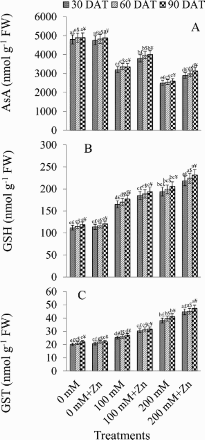 Figure 3. Effect of different concentrations of NaCl in the presence and absence of Zn (1 mM) on ascorbic acid (AsA) (A), glutathione (GSH) (B) and glutathione S-transferase (GST) (C) in Brassica juncea plants. Different letters indicate significant difference (P  <  0.05) among the treatments within a developmental stage. Symbols $, £ and ¥ denote significant effects of different developmental stages within a same treatment.
