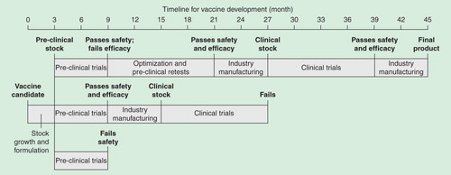 Figure 3. Idealized vaccine development timeline from post-discovery to pre-regulatory submission. A simplified timeline illustrates the potential pitfalls encountered throughout the development process. Optimistic estimates for vaccine development from candidate selection to industrial production fall between 3.5 and 4 years, depending on the type of vaccine. After adding 2–3 years for research prior to candidate selection and 2–3 years for regulatory submission and licensure once a final formulation is in hand, total time is approximately 10 years. As discovery methods and bureaucratic processes and approvals are accelerating, the overall timeline could realistically shrink to 6–7 years.