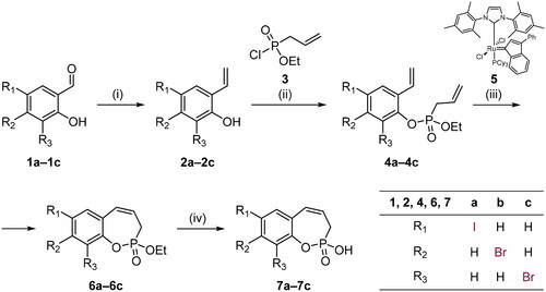 Scheme 1. Reagents and conditions: (1) MePPh3Br, tBuOK, THF, rt, 18 h; (2) NEt3, CH2Cl2, 0 °C to rt, 18 h; (3) 5 (CAS: 250220–36-1), PhMe, 70 °C, 4 h; (iv) TMSBr, CH2Cl2, rt, 24 h.