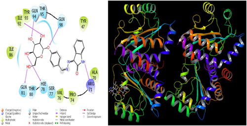 Figure 4. Presentation interactions of molecule 8 with Pseudomonas aeruginosa protein.