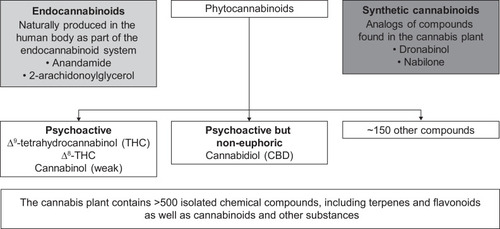 Figure 1 Types of cannabinoids.Citation8,9