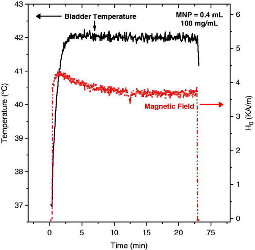 Figure 8. Typical magnetic field amplitude (red line, right axis) applied during MFH treatment (0.4 mL of 100 mg/mL nanoparticles) required to achieve the goal temperature of 42 °C inside the rat bladder (black line, left axis).