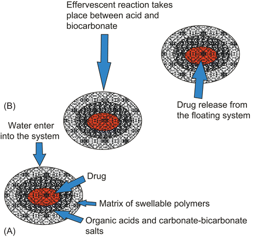 Figure 2.  (A) Multiple-unit oral floating drug delivery system. (B) Working principle of effervescent floating drug delivery system.