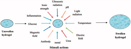 Figure 1. Stimuli responsible for swelling of hydrogels.