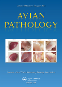 Publication Cover