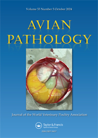 Publication Cover