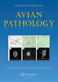 Publication Cover