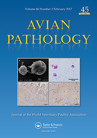 Publication Cover