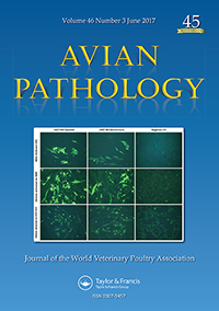 Publication Cover