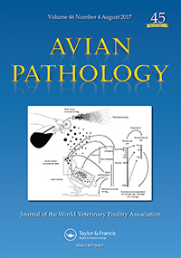 Publication Cover