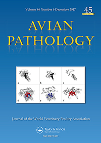 Publication Cover