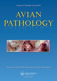 Publication Cover