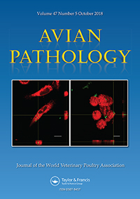 Publication Cover