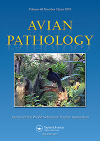 Publication Cover