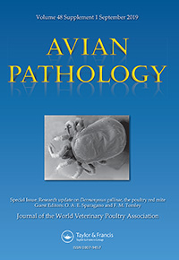 Publication Cover