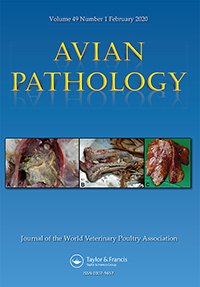 Publication Cover