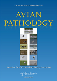 Publication Cover