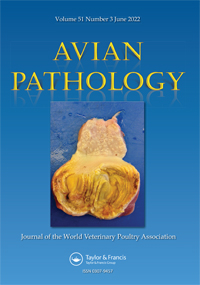 Publication Cover