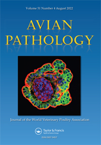 Publication Cover