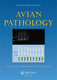 Publication Cover