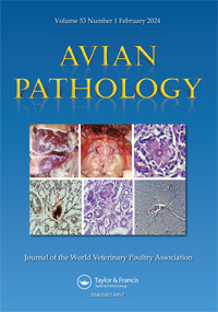 Publication Cover