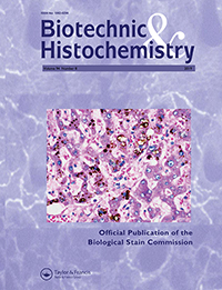 Publication Cover