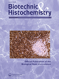 Publication Cover