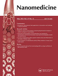 Cover image for Nanomedicine, Volume 19, Issue 12