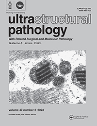 Publication Cover