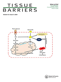 Cover image for Tissue Barriers, Volume 12, Issue 3