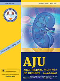 Publication Cover