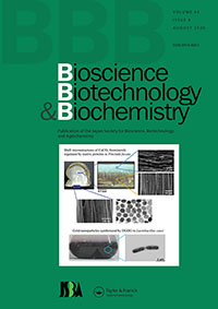 Publication Cover