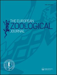 Publication Cover