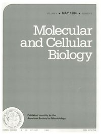 Publication Cover