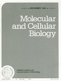 Publication Cover