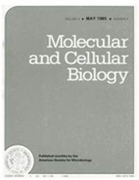 Publication Cover