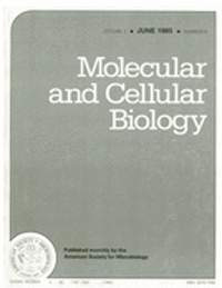 Publication Cover