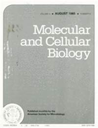 Publication Cover