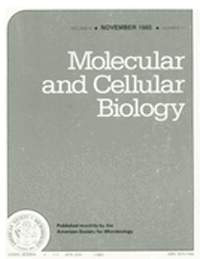 Publication Cover