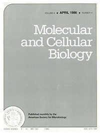 Publication Cover