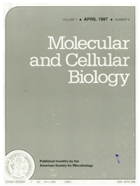 Publication Cover