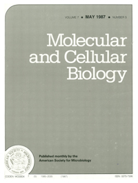 Publication Cover