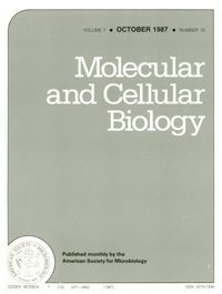 Publication Cover