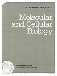 Publication Cover