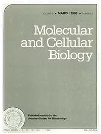 Publication Cover